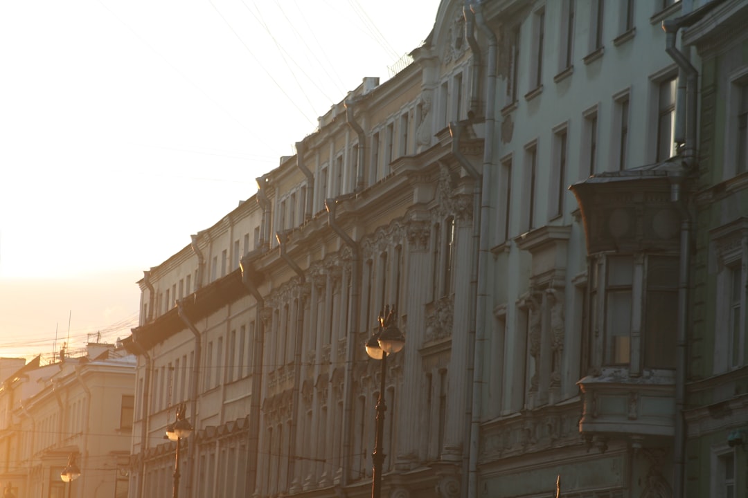 Photo "Sunset vibes"