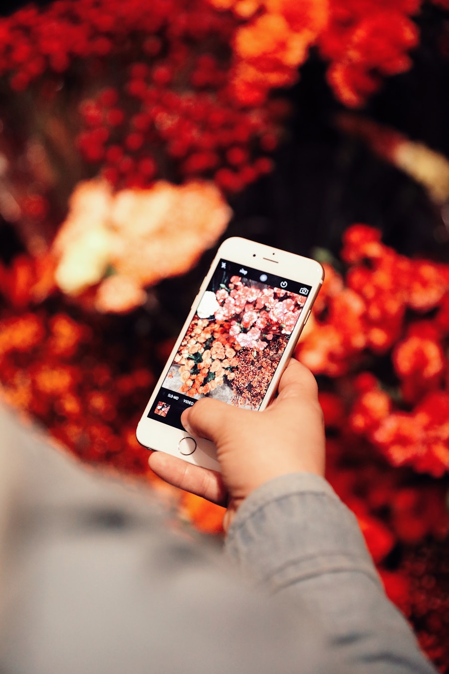 Photo Make Money on Instagram: How to Apply to Be a UGC Micro Influencer