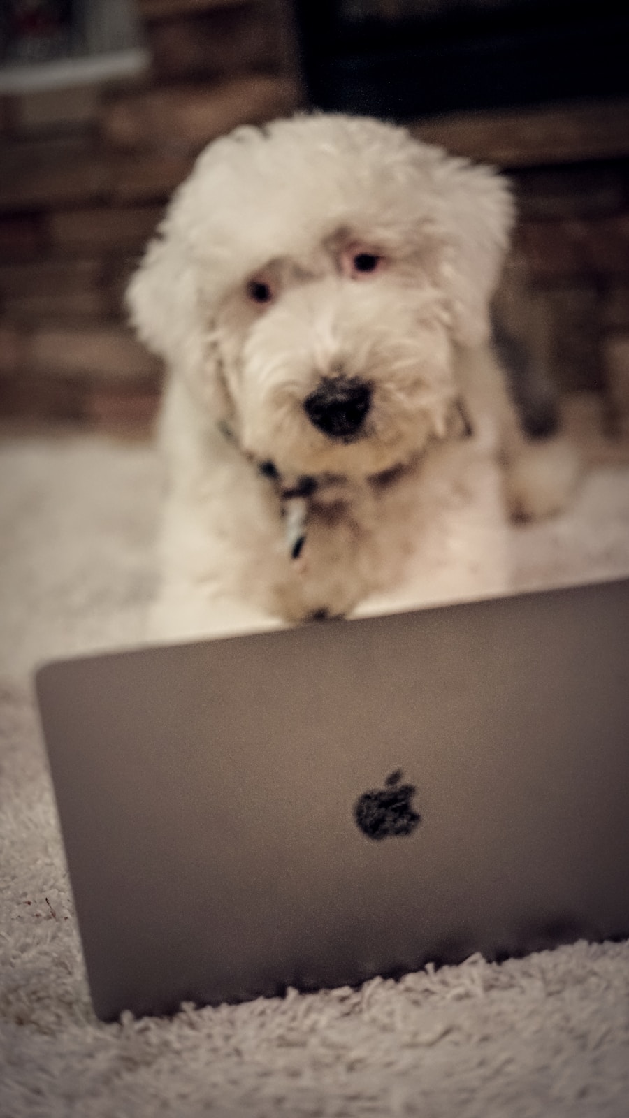 Photo "what are the facebook email addresses"