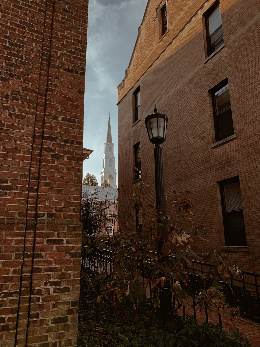 Photo "Understanding the UGC Program: What You Need to Know"