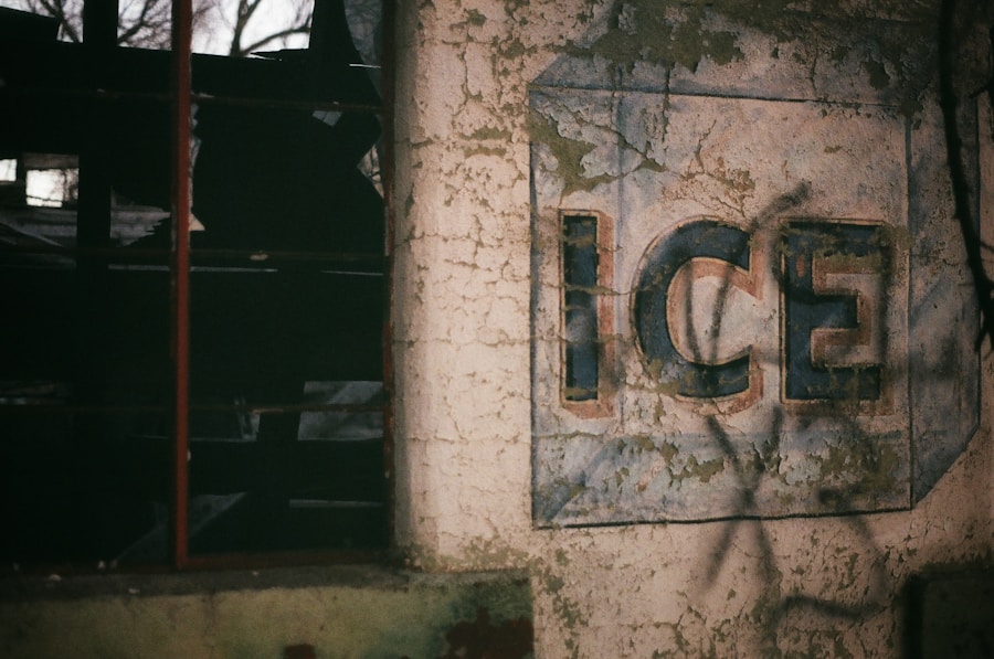 Photo "Top UGC Brands Transforming the Content Creation Industry"