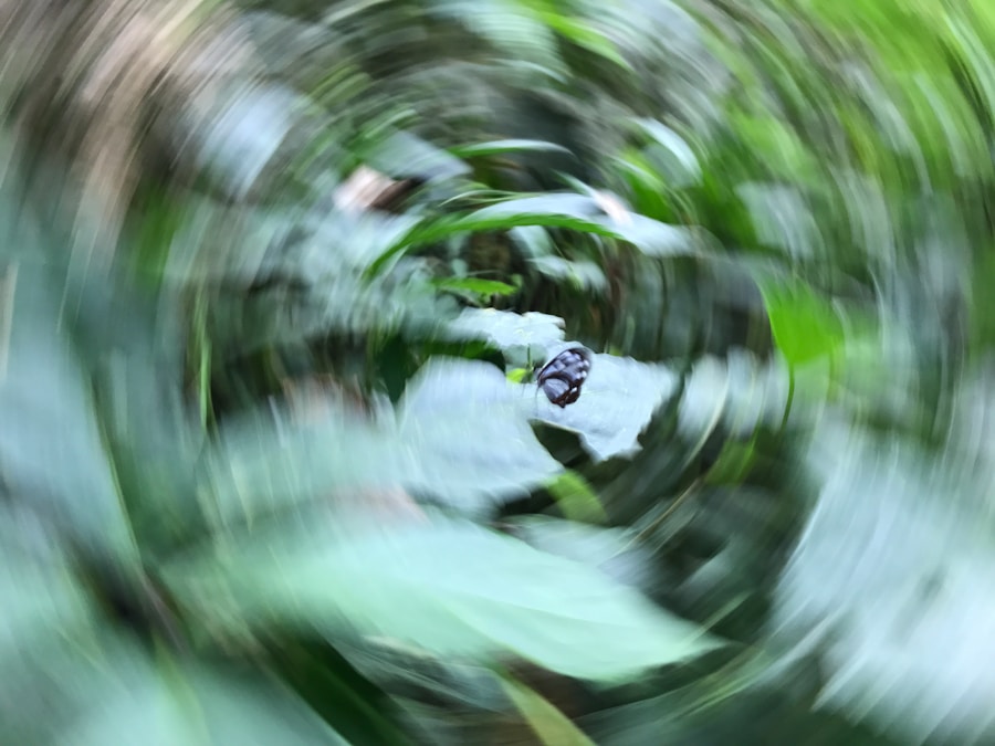 Photo "find my email address on iphone"