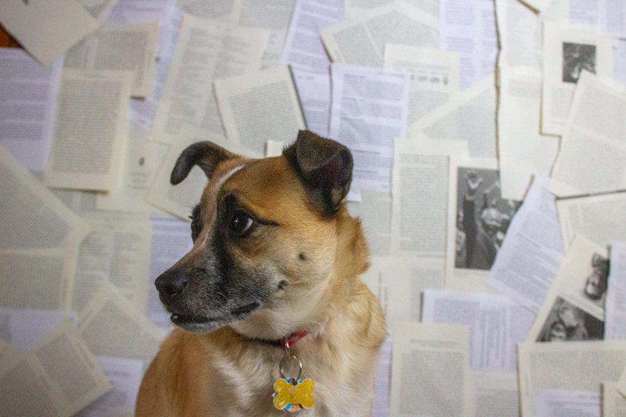 Photo "is email list still relevant"